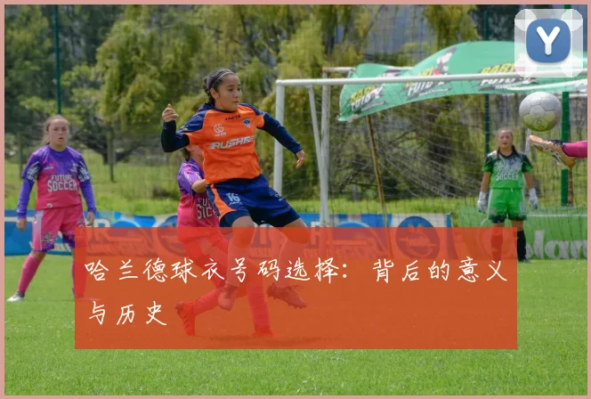 哈兰德球衣号码选择：背后的意义与历史