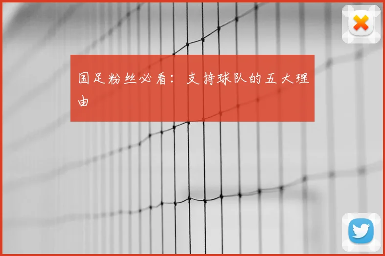 国足粉丝必看:支持球队的五大理由
