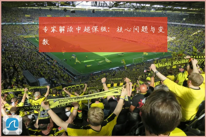 专家解读中超保级:核心问题与变数
